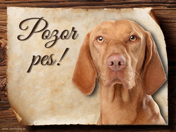 Cedulka Maďarský ohař - Pozor pes