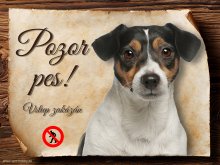 Cedulka Jack Russell teriér - Pozor pes zákaz