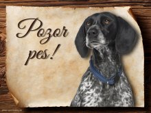Cedulka Auvergneský ohař - Pozor pes