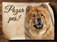 Cedulka Čau čau - Pozor pes