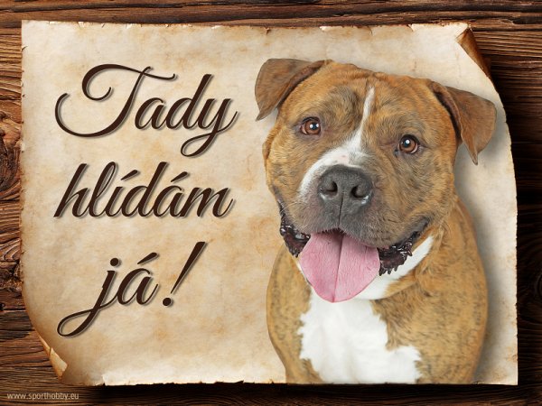 Cedulka Americký pitbulterier - Tady hlídám já!