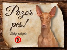 Cedulka Faraonský pes - Pozor pes zákaz