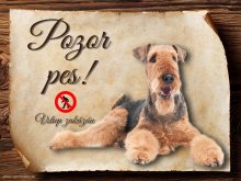 Cedulka  Airedalský Terrier - Pozor pes zákaz