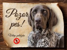 Cedulka Německý ohař - Pozor pes zákaz