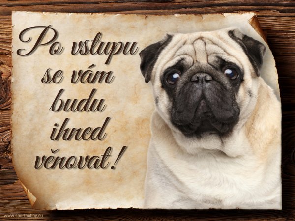 Cedulka Mops - Po vstupu ...