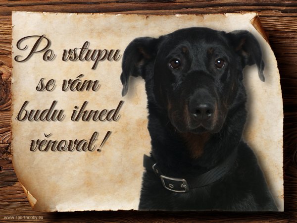 Cedulka Beauceron II - Po vstupu ...