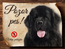 Cedulka Novofundlandský pes - Pozor pes zákaz