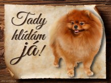 Cedulka Pomeranian - Tady hlídám já