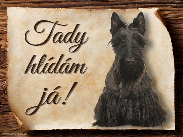 Cedulka Skotský teriér - Tady hlídám já!