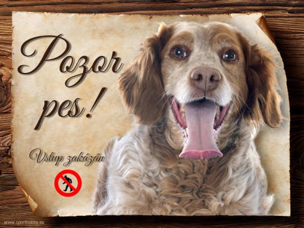 Cedulka Bretaňský ohař II - Pozor pes zákaz