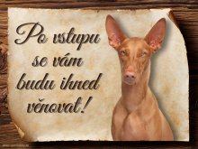 Cedulka Faraonský pes - Po vstupu ...