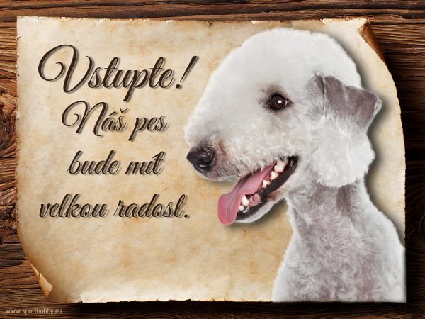 Cedulka Bedlington teriér - Vstupte