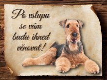 Cedulka  Airedalský Terrier - Po vstupu ...