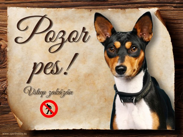 Cedulka Basenji - Pozor pes zákaz