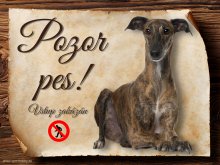 Cedulka Španělský chrt - Pozor pes zákaz