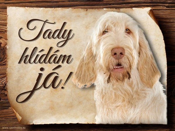 Cedulka Italský spinone - Tady hlídám já