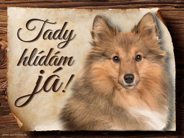 Cedulka Šeltie - Tady hlídám já!