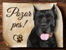 Cedulka Cane corso - Pozor pes