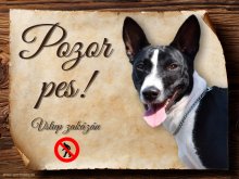 Cedulka Basenji - Pozor pes zákaz