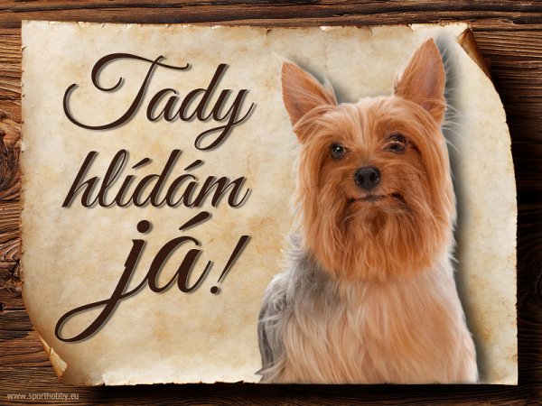 Cedulka Australský silky teriér - Tady hlídám já!