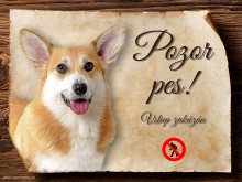 Cedulka Welsh Corgi Pembroke - Pozor pes zákaz