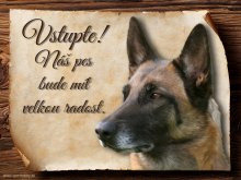 Cedulka Belgický ovčák Malinois - Vstupte