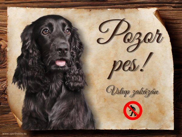Cedulka Anglický kokršpaněl - Pozor pes zákaz