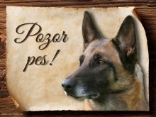 Cedulka Belgický ovčák Malinois - Pozor pes