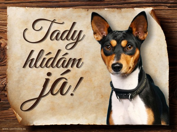 Cedulka Basenji - Tady hlídám já!