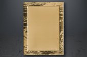 Plaketa Exclusiv 709G2T_V