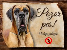 Cedulka Německá doga - Pozor pes zákaz