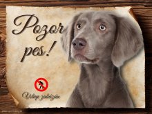 Cedulka Výmarský ohař - Pozor pes zákaz