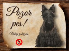 Cedulka Skotský teriér - Pozor pes zákaz