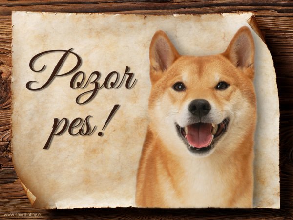 Cedulka Shiba-Inu - Pozor pes