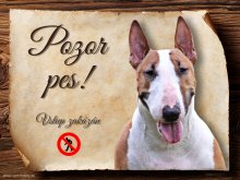 Cedulka Bullterier V - Pozor pes zákaz