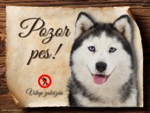 Cedulka Husky - Pozor pes zákaz