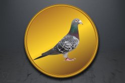 Emblém poštovní holub GL228
