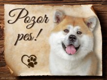 Cedulka Akita Inu - Pozor pes