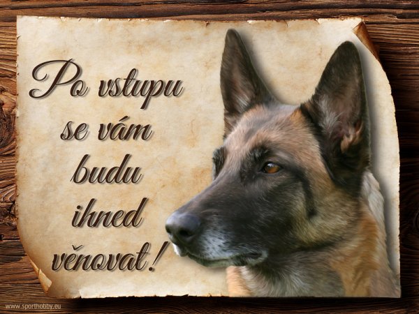 Cedulka Belgický ovčák Malinois - Po vstupu ...