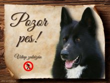 Cedulka Karelský medvědí pes II - Pozor pes zákaz