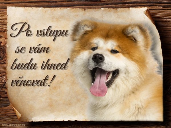 Tabulka Akita Inu - Po vstupu ...