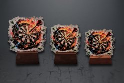 Akrylová trofej sipky