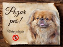 Cedulka Pekingský palácový psík - Pozor pes zákaz