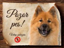 Cedulka Eurasier - Pozor pes zákaz