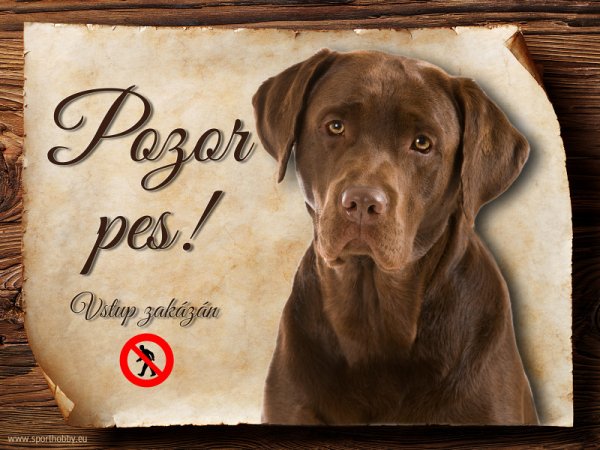 Cedulka Labrador retrívr - Pozor pes zákaz