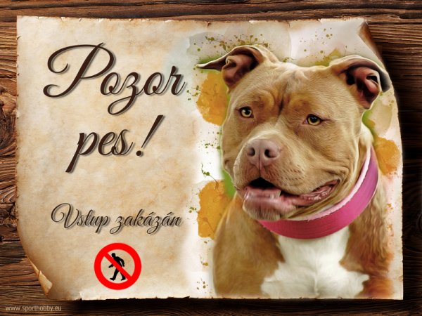 Cedulka Americký pitbulteriér - Pozor pes zákaz