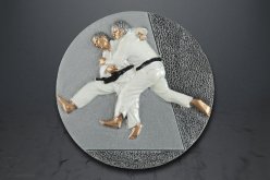 Emblém Judo FG004