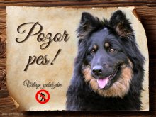 Cedulka Chodský pes - Pozor pes zákaz