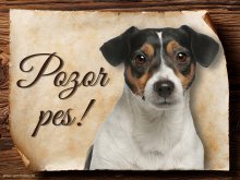 Cedulka Jack Russell teriér - Pozor pes