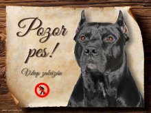 Cedulka Americký pitbulterier - Pozor pes zákaz